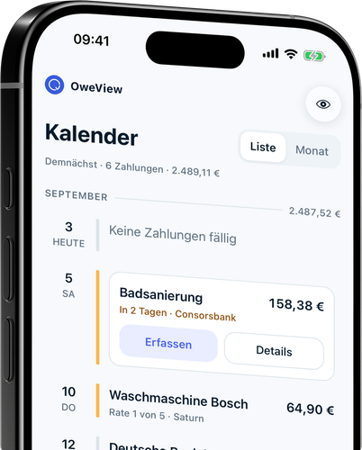 Jede Zahlung auf einer Zeitleiste, mit monatlichen Summen