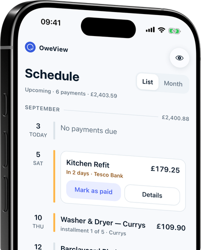 Every payment on one timeline, with monthly totals
