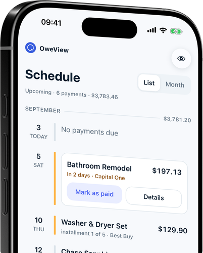 Every payment on one timeline, with monthly totals