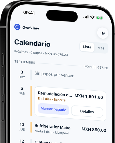 Cada pago en una sola línea de tiempo, con totales mensuales