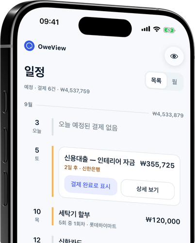 모든 상환 내역을 하나의 타임라인에, 월별 합계와 함께