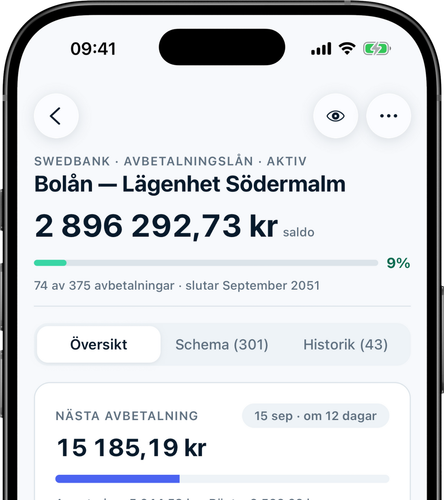 Lånedetaljer: avbetalning, villkor och avbetalningsframsteg i en vy