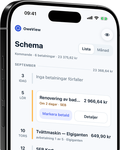 Varje betalning på en tidslinje, med totalsummor per månad